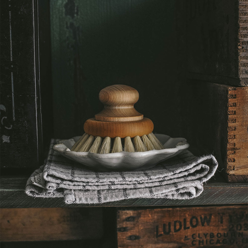 Pan & Scrub Brush with Knob