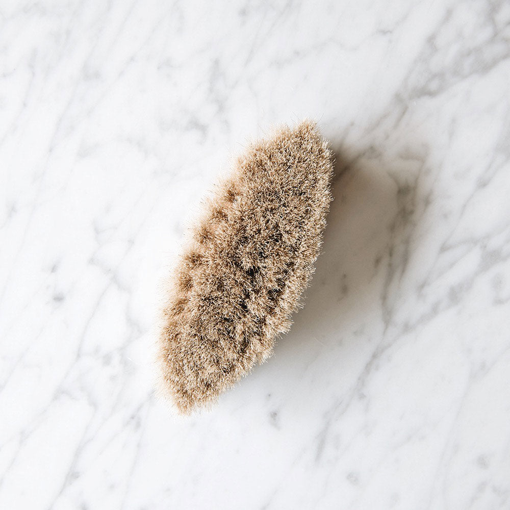 Bath Brush, Dry Brush